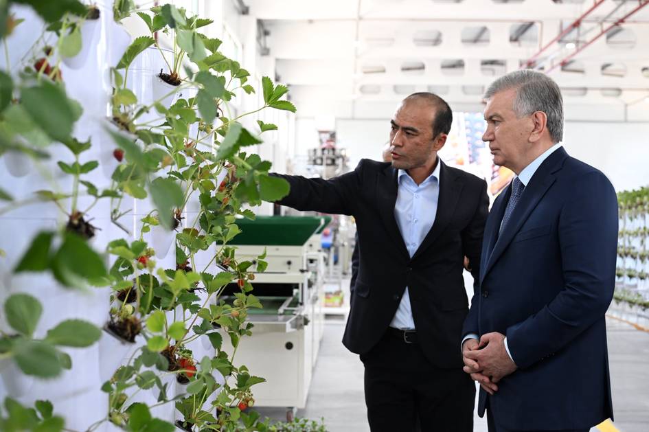 Қувада аҳолига 10 сотих томорқадан 250 млн сўмгача даромад олиш ўргатилмоқда